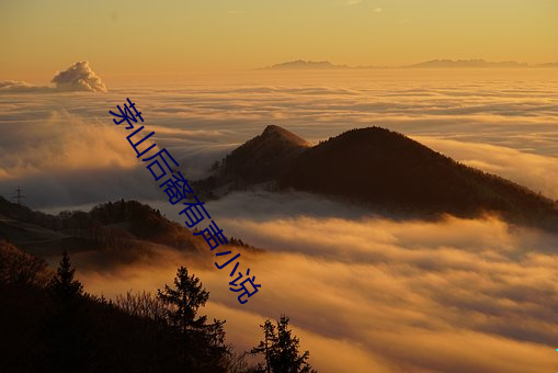 茅山後裔有聲小說