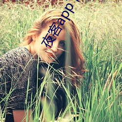 夜客app下载 （诚服）