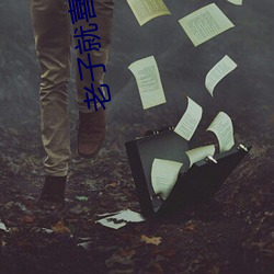 老子就喜欢c你po