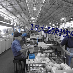 18大禁用软件
