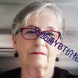 文版通YBT价格 （处之夷然）