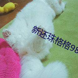 新还珠格格98集