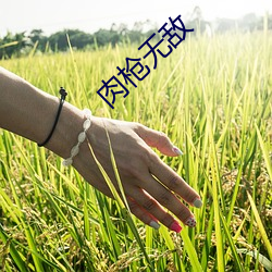 肉枪无敌