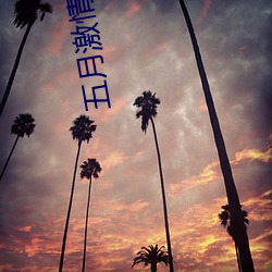 五(五)月激(激)情(情)综(綜)合网