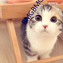 BMGBMGBMG好多水