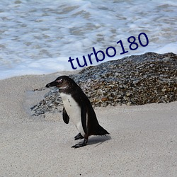 turbo180