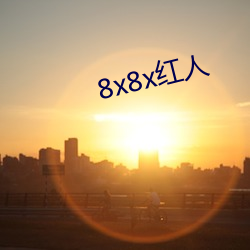 8x8x红人