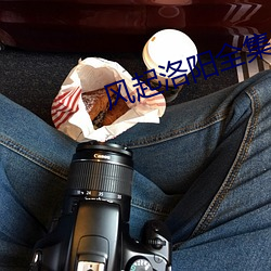 风(風)起(起)洛(洛)阳(陽)全集39集免费观(觀)看