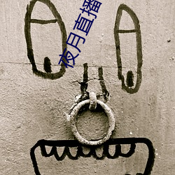 夜(yè)月直播3.0