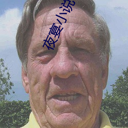 夜宴小说