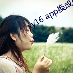 xy16 app换成什么了 （改而更张）