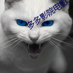 多多(duō)影院(yuàn)电影大片