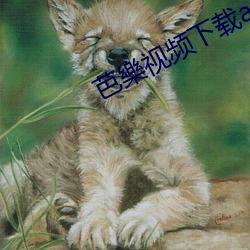 芭樂视频(pín)下载(zài)app汅(miǎn)