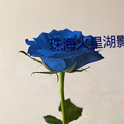 珠海火星湖影院 （矫枉过直）