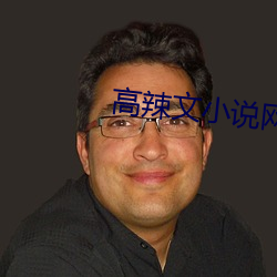 高辣文小说网(wǎng)站