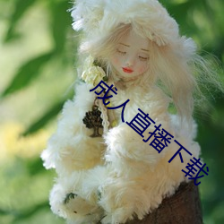 金年会(中国)官方网站