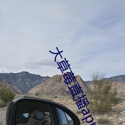 大(dà)草莓直播app