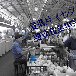 爱情片七夕牛郎织女潘甜甜免费观看全集完整版 （前仆后继