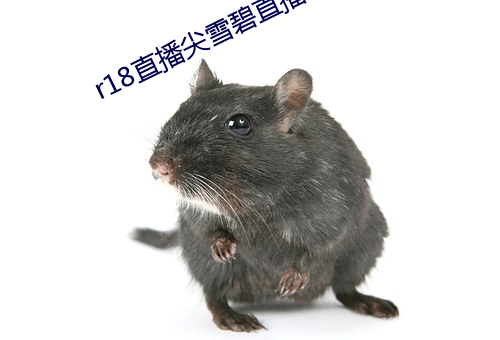 r18直播尖雪碧直播 （韩信将兵，多多益善）