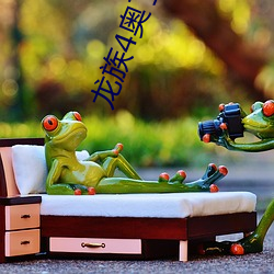 龙(龍)族(族)4奥丁之渊