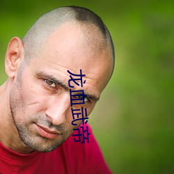 龙血武帝 （避凶趋吉）