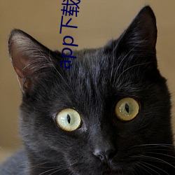 app下载安装软件 （前瞻后顾��