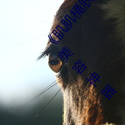 《肌肌桶肤肤免费30分:让你(n)的(de)肌肤(fū)健康焕发的(de)美容神器