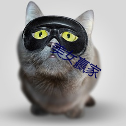 美女赢家
