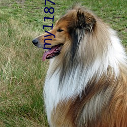 my1187.蜜芽入口 ��消耗）