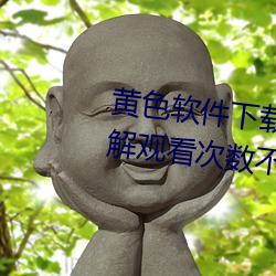 黄(黃)色软件下(下)载(載)3.0.3每(每)天vivo版破解观看次数不(不)再受(受)限?网友:
