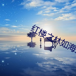 红楼之林(lín)如(rú)海重生(shēng)