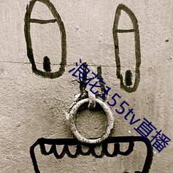 浪(làng)花(huā)155tv直播(bō)