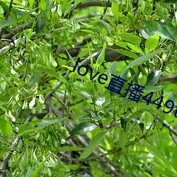九游会登录j9入口 - 中国官方网站 | 真人游戏第一品牌