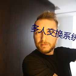 多人交换系统小说 （经史子集）