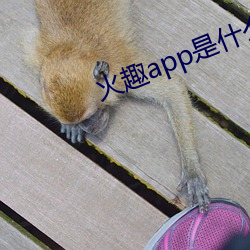 BG大游(中国)唯一官方网站