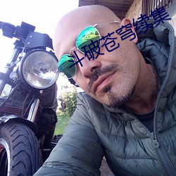 斗破苍穹续(xù)集