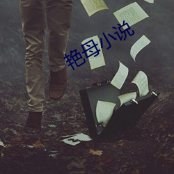 艳(yàn)母小(xiǎo)说