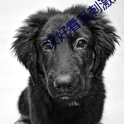 又好看又刺激的软件