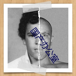 国(guó)产办公室
