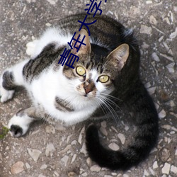 青年大學第十一季第十四期