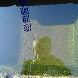 经典爱情小说