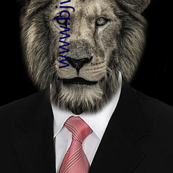 www.bjwingain.com