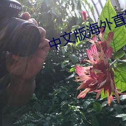 中文版(bǎn)海外直(zh)播(bō)app