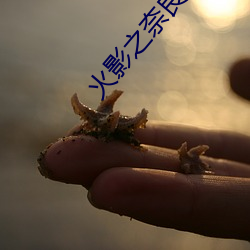 火影之奈良鹿丸