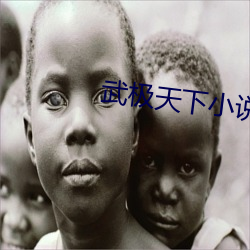 武極天下小說