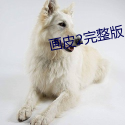 ca88手机客户端(安卓/苹果)CA88会员登录入口