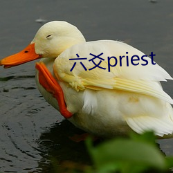 六爻priest