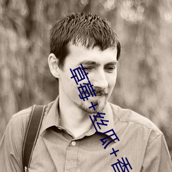 草莓(莓)+丝瓜+香蕉(蕉)2023下载
