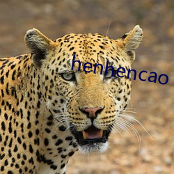 henhencao