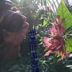 毛利蘭被侮辱邪惡福利圖